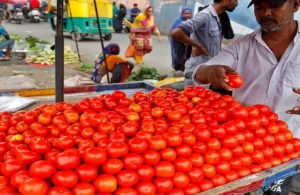Tometo: &nbsp;टमाटर के भाव से हुए किसान परेशान, सरकार किसानो की सहायता के लिए उठाने जा रही कदम&nbsp;