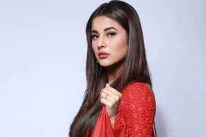 Shehnaaz Gill: शहनाज गील ने अपने नए स्टालिश लुक और अंदाज में हर किसी को किया पागल देखे वायरल तस्वीरें