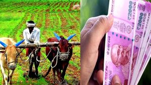 PM Kisan Yojna&nbsp;12 करोड़ किसानो की लगी लॉटरी अगली क़िस्त पर आई अनोखी अपडेट&nbsp;