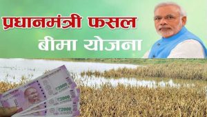 &nbsp;PM Fasal Bima Yoja अब फसल बर्बाद होने पर किसानो के नहीं छूटेंगे पसीने सरकार दे रही पूरा पैसा जल्द से जल्द करे अप्लाई&nbsp;