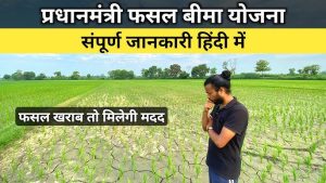 &nbsp;PM Fasal Bima Yoja अब फसल बर्बाद होने पर किसानो के नहीं छूटेंगे पसीने सरकार दे रही पूरा पैसा जल्द से जल्द करे अप्लाई&nbsp;