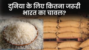 Rice Update&nbsp;अब भारत ने सिंगापूर भूटान ऐसे कई देशो की मांग सुनकर देती है गैर बासमती सफ़ेद चावल की एक्सपोर्ट की अनुमति 