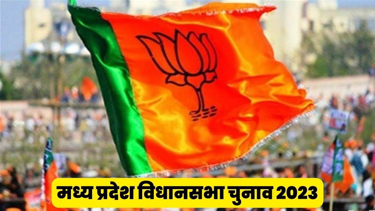 MP Election News: विधानसभा चुनाव में अपने दम पर लड़ने की तैयारी में है सपा,और चुनाव के लिए जारी किये गए वादे जानिए पूरी खबर 