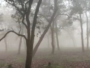 Chhattisgarh Weather: 3 दिन बाद फिर बदलेगा छत्तीसगढ़ में मौसम एक मजाज, दो दिन में गिरगा कोहरा जानिए तजा खबर
