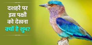 Dussehra 2023: दशहरे के दिन हो जाये ये दुर्लभ पक्षी के दर्शन, तो चमक जाएँगी आपकी किस्मत&nbsp;