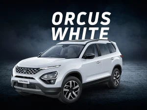 Tata Safari Facelift: XUV 700 को गोल गोल घुमा देगा TATA Safari का जबरदस्त लुक, रापचिक फीचर्स के साथ देखे तगड़ा इंजन&nbsp;