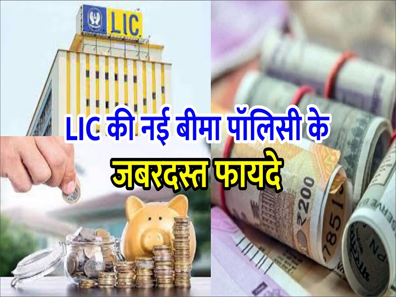 LIC Scheme: एलआईसी की इस स्किम से लोग बन रहे है मालामाल, कम सालो में मिलेंगे लाखो रुपये जाने डिटेल 