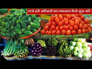 Business Idea: नौकरी की टेंशन होगी ख़त्म दो हजार में शुरू करे ये बिजनेश कम समय में होगी लाखो की कमाई