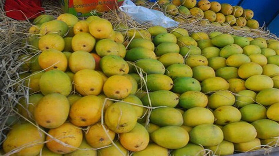 Mango